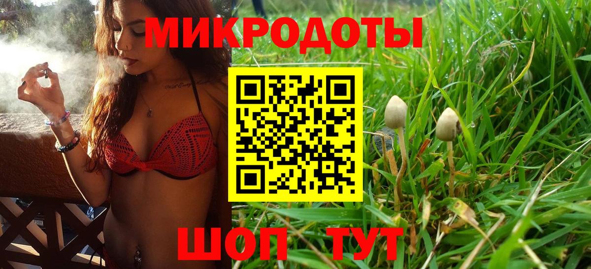 Галлюциногенные грибы MAGIC MUSHROOMS Бор