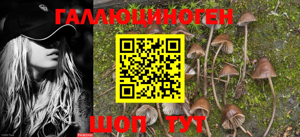 Галлюциногенные грибы Magic Shrooms  Вход с VPN  как найти наркотики  Бор 